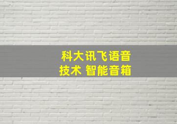 科大讯飞语音技术 智能音箱